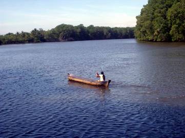 cayuco under paddle.JPG