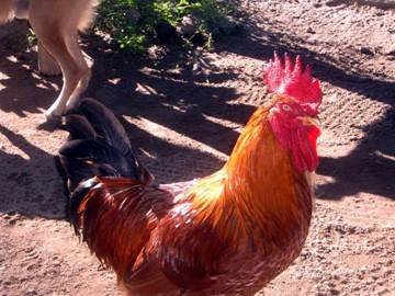 company at breakfast.JPG