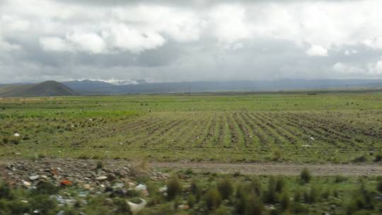 DSC01256.JPG